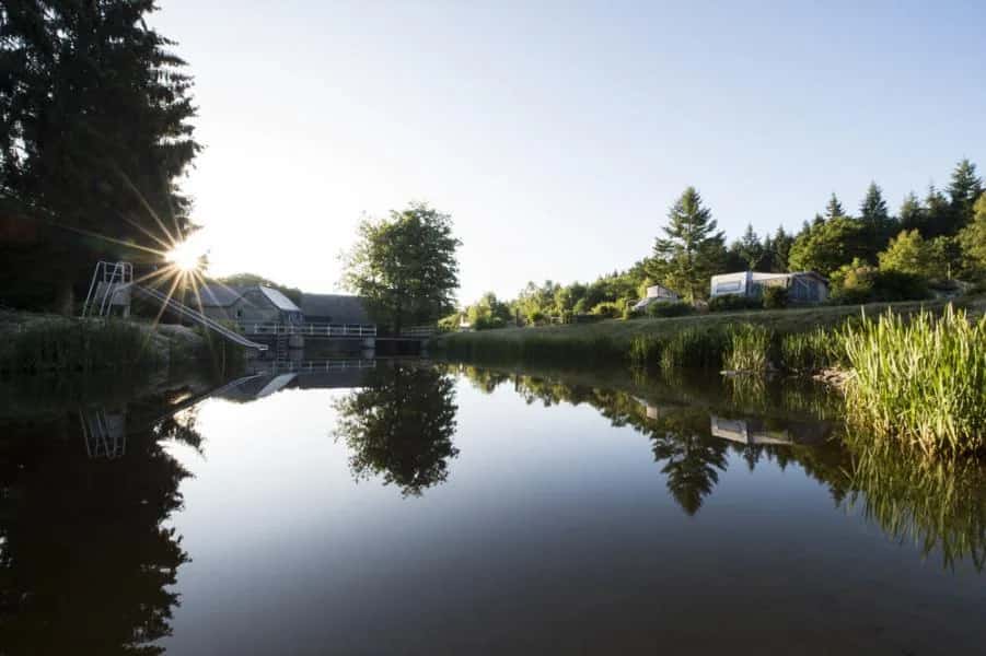 Campingplatz Harfenmühle in Rheinland-Pfalz, Bild 10 von 22