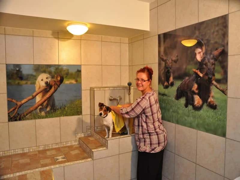 Camping- und Freizeitpark LuxOase in der Sächsischen Schweiz, Bild 7 von 16