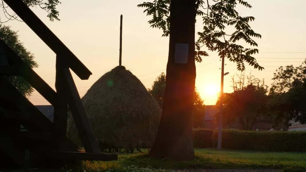 Spreewald-Natur-Camping „Am See“ im Spreewald, Bild 9 von 9