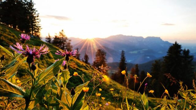 abendlicht_2734