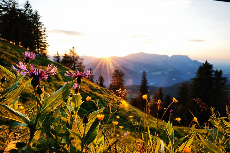 abendlicht_2734