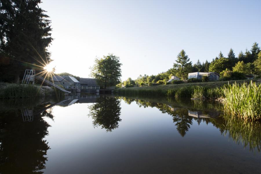 camping_30062019_060