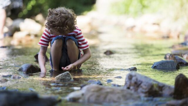 camping_30062019_103