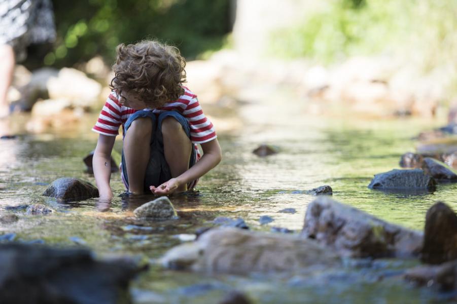 camping_30062019_103