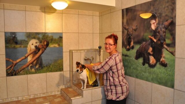 k-hundedusche