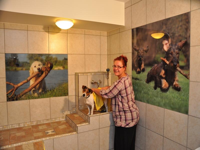 k-hundedusche