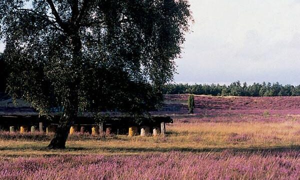 roeders_park_05