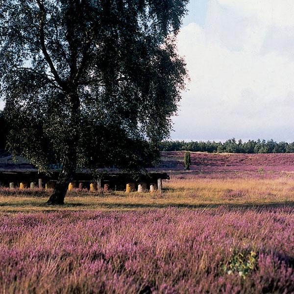 roeders_park_05