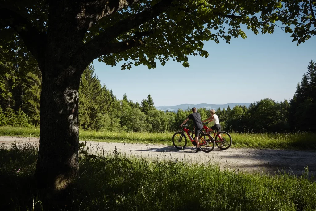 Region_3_komprimiert