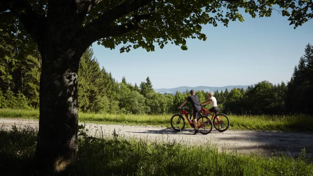 Region_3_komprimiert